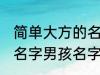 简单大方的名字男孩名字 简单大方的名字男孩名字推荐