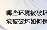 哪些环境被破坏怎样保护环境 哪些环境被破坏如何保护环境