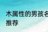 木属性的男孩名字 木属性的男孩名字推荐