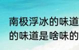 南极浮冰的味道是什么味的 南极浮冰的味道是啥味的