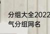 分组大全2022最新版的 高冷二字霸气分组网名