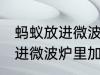 蚂蚁放进微波炉里加热会死吗 蚂蚁放进微波炉里加热会不会死