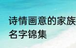 诗情画意的家族名字 诗情画意的家族名字锦集