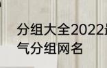 分组大全2022最新版的 高冷二字霸气分组网名