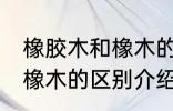 橡胶木和橡木的区别是什么 橡胶木和橡木的区别介绍