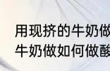 用现挤的牛奶做怎么做酸奶 用现挤的牛奶做如何做酸奶