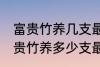 富贵竹养几支最旺运办公室 办公室富贵竹养多少支最旺运