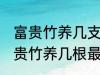 富贵竹养几支最旺运属蛇的 属蛇养富贵竹养几根最招财