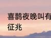 喜鹊夜晚叫有什么兆头 喜鹊夜晚叫的征兆