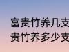 富贵竹养几支最旺运办公室 办公室富贵竹养多少支最旺运