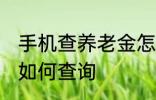 手机查养老金怎么查询 手机查养老金如何查询