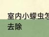 室内小蠓虫怎样去除 室内小蠓虫如何去除