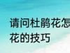 请问杜鹃花怎么养不爱死啊 养殖杜鹃花的技巧