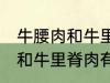 牛腰肉和牛里脊肉有什么不同 牛腰肉和牛里脊肉有何不同