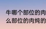 牛哪个部位的肉炖的牛肉汤好喝 牛什么部位的肉炖的牛肉汤好喝