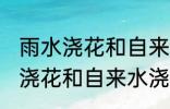 雨水浇花和自来水浇花有区别吗 雨水浇花和自来水浇花有什么区别